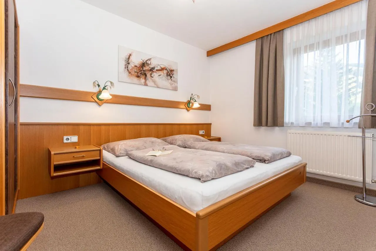 Apartment Hintermaisalm Saalbach Österreich